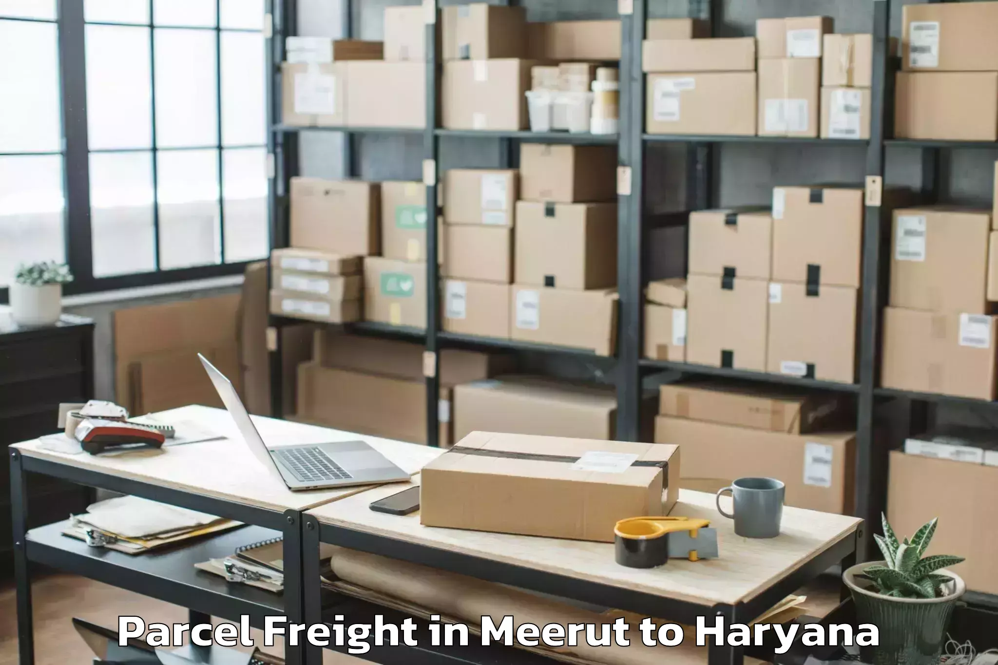 Book Meerut to Hansi Parcel Freight Online